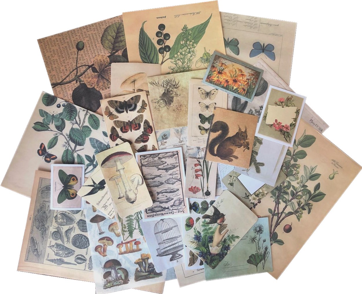 Aesthetic Designed Natural Botany Plants Handmade Crafts Material Supply Assorted Pack For Scrapbook Journal bullet personal project with Antique washi paper stickers Vintage posts envelope Main