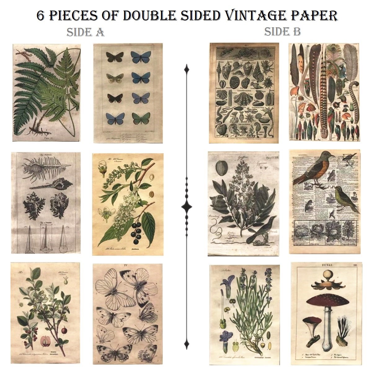 Retro Vintage Natural Creature Wild Plants Crafts Material Supply Assorted Design double sides paper Pack For Scrapbook personal project with washi paper stickers Vintage posts envelope book page 04